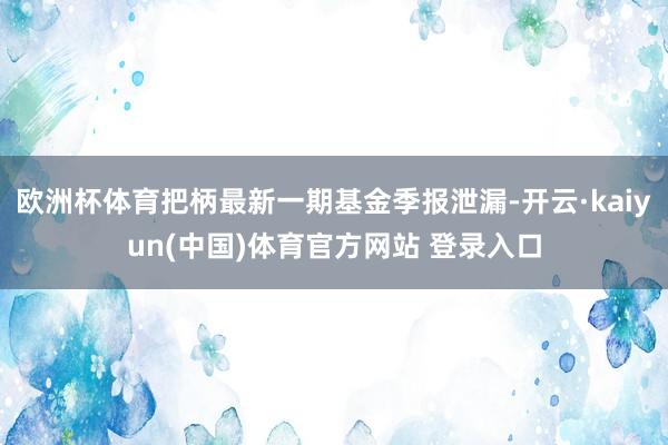 欧洲杯体育把柄最新一期基金季报泄漏-开云·kaiyun(中国)体育官方网站 登录入口