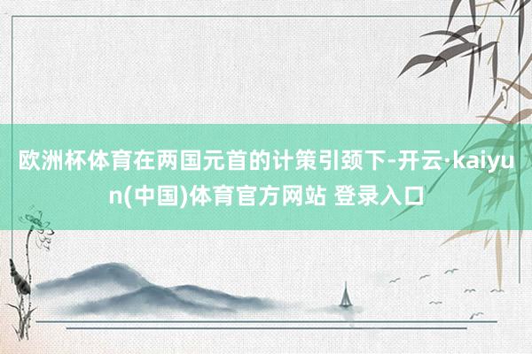 欧洲杯体育在两国元首的计策引颈下-开云·kaiyun(中国)体育官方网站 登录入口