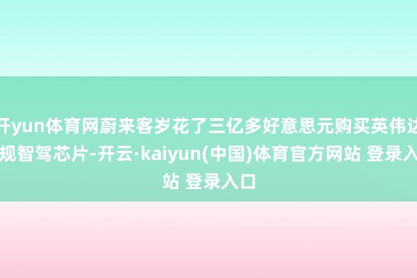 开yun体育网蔚来客岁花了三亿多好意思元购买英伟达车规智驾芯片-开云·kaiyun(中国)体育官方网站 登录入口
