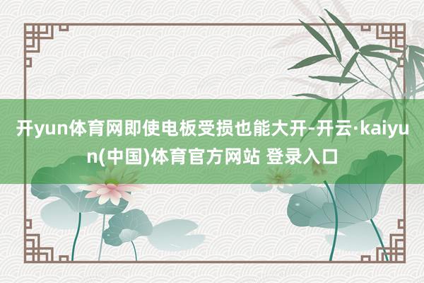 开yun体育网即使电板受损也能大开-开云·kaiyun(中国)体育官方网站 登录入口